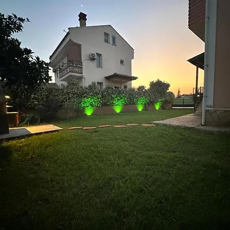 Seda